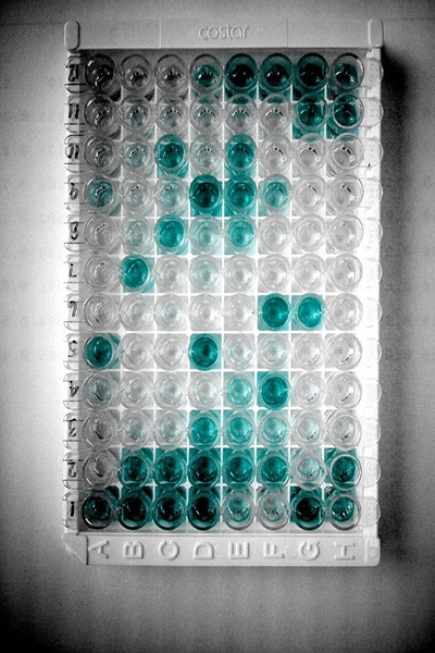 98/79/EC in vitro diagnostic medical devices